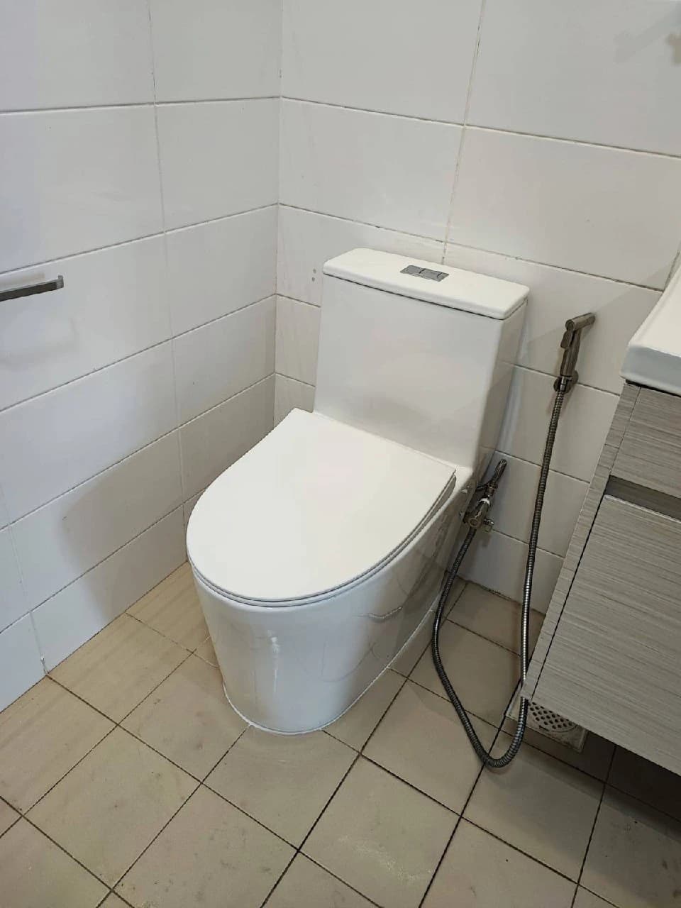 Toilet Bowl Replacement Service